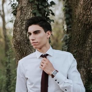 Meet your Posher, Raul-alin